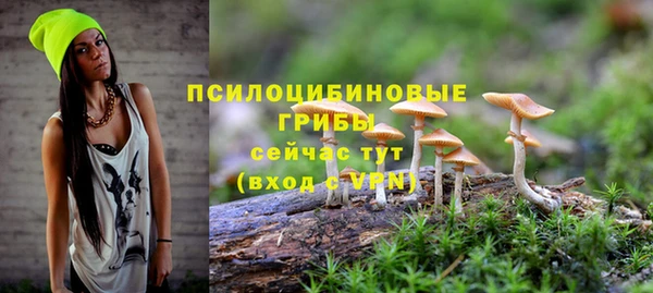 дмт Богданович