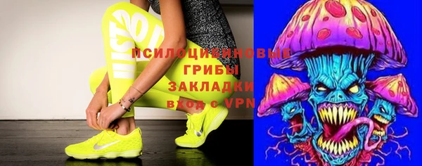дмт Богданович