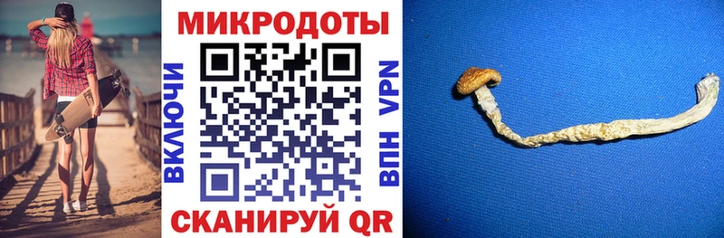 Галлюциногенные грибы мицелий  Горнозаводск 